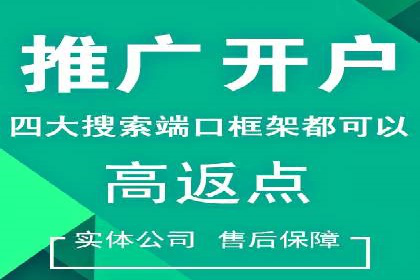 百度SEO推广公司案例解析：实战优化技巧全解读